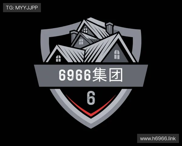 纵览6966集团